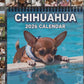 Funny Animal Calendar 2026 Calendar