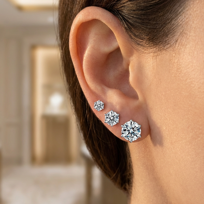 Klassieke roestvrijstalen oorbellen met 6 punten en vlinderachterkant