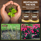 🌱 Bodemverbeteraar – 1+1 GRATIS & wortels ademen! 💧✨