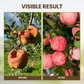 🌱 Bodemverbeteraar – 1+1 GRATIS & wortels ademen! 💧✨
