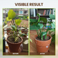🌱 Bodemverbeteraar – 1+1 GRATIS & wortels ademen! 💧✨
